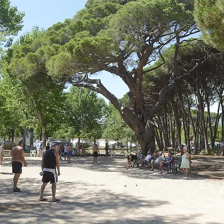 キャンプ場 Camping De Plage**** *